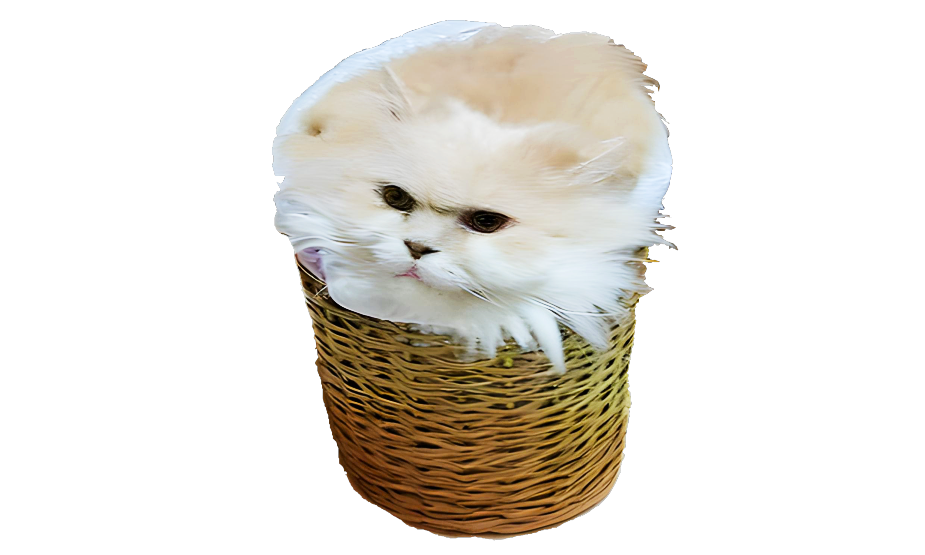 Mappi Ö
